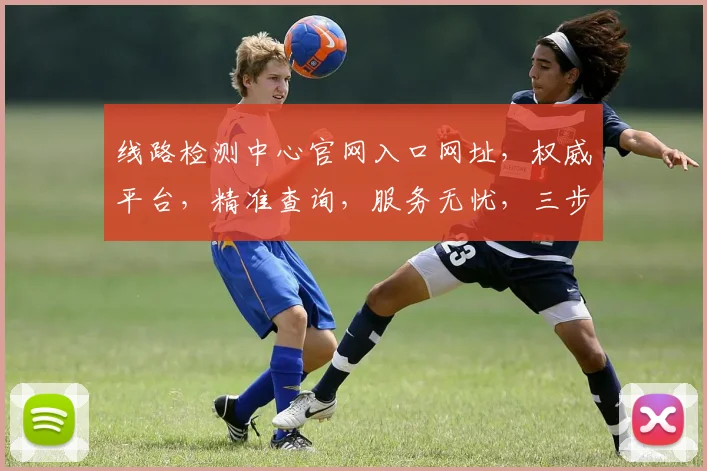 线路检测中心官网入口网址，权威平台，精准查询，服务无忧，三步直达，一网打尽