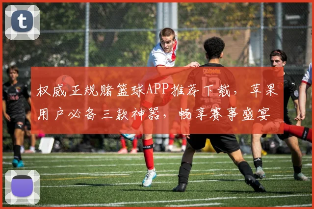 权威正规赌篮球APP推荐下载，苹果用户必备三款神器，畅享赛事盛宴，尽享精彩瞬间