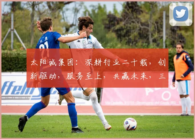 太阳诚集团：深耕行业二十载，创新驱动，服务至上，共赢未来，三大优势助力发展
