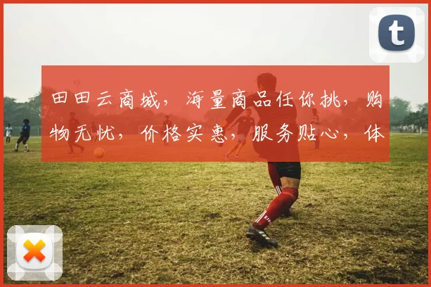 田田云商城，海量商品任你挑，购物无忧，价格实惠，服务贴心，体验非凡，购物首选平台，值得信赖