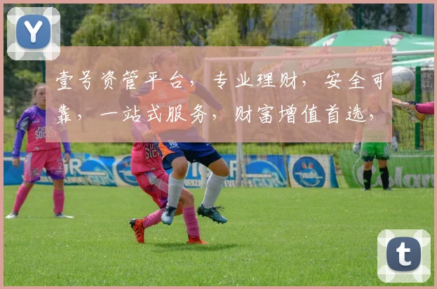 壹号资管平台，专业理财，安全可靠，一站式服务，财富增值首选，值得信赖